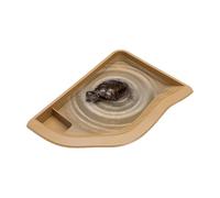 Dottduya Bol à eau pour reptiles, nourriture et eau, bol de bassin paysager pour tagames barbus, tortues, serpents - tortue