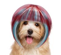 Dottduya Perruque pour Petit Chien,Perruque Animaux Multicolore - Couvre Chef Respirant pour Animaux avec Lanière Adjustable | Parade Fête Photographie Réunion Familiale Représentation Scénique
