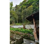 Dotted Notebook: especially dotted for writing Chinese and Japanese