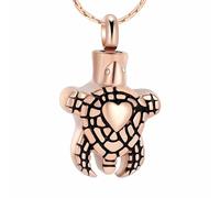 DOTUIARG Animaux de compagnie Crémation Bijoux Porte-cendres Pendentif Collier Urne Porte-bonheurs Souvenirs