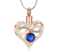 DOTUIARG Bijoux de crémation cardiaque, urne, collier de cendres pour femmes, souvenir de cendres, porte-cendres pour un proche, bijoux commémoratifs