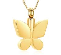 DOTUIARG Bijoux de crémation papillon pour cendres pour femmes souvenirs d’urne pour un proche Médaillon d’urne pour chien/chat humain