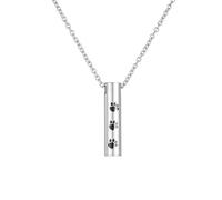 DOTUIARG Bijoux de crémation, urne à empreintes de pattes, porte-clés pour cendres humaines, bijoux commémoratifs de chat, bijoux souvenirs pour femmes hommes