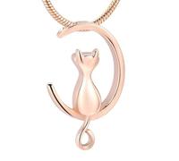 DOTUIARG Bijoux en forme de chat en argent/or/lune noire Crémation Bijoux pour cendres d’animaux de compagnie Urnes collier Pendentif commémoratif pour femmes/hommes