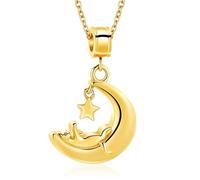 DOTUIARG Chat crémation bijoux lune étoile urne collier pour cendres en acier inoxydable cendres pendentif pour animal de compagnie humain souvenir mémorial pour bijoux