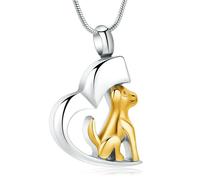 DOTUIARG Collier d’urne pour cendres, bijoux de crémation pour chiens, pendentif en cendres en acier inoxydable, bijoux commémoratifs pour hommes, femmes