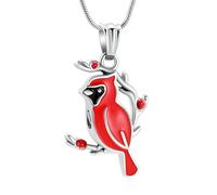 DOTUIARG Collier de crémation rouge/bleu pour les cendres des êtres chers Bijoux commémoratif d’urne pour femmes hommes