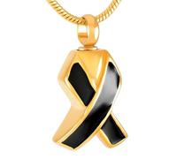 DOTUIARG Collier de la collection de crémation en acier inoxydable en or Mémorial pour les cendres Bijoux pendentifs souvenirs d’urne