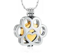 DOTUIARG Colliers d’urnes pour feuilles de cendre Bijoux de crémation en acier sans taines Pendentif souvenir pour les femmes Hommes