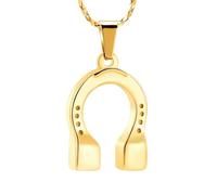 DOTUIARG Crémation Bijoux Fer à cheval Urne Collier pour Cendres Souvenir Bijoux Mémoriaux Pour Cendres Humain/Animal de Compagnie
