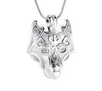 DOTUIARG Pendentif bijoux de crémation, collier d’urne en acier inoxydable, porte-cendres d’animal humain, souvenir pour un être cher.