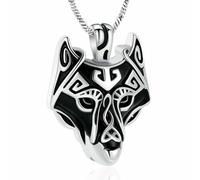 DOTUIARG Pendentif bijoux de crémation, collier d’urne en acier inoxydable, porte-cendres d’animal humain, souvenir pour un être cher.