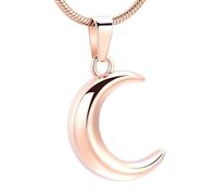 DOTUIARG Tu es mon pendentif de lune, collier, cendre, souvenir de l’animal de compagnie, bijoux de crémation, cadeau pour femmes, collier fille