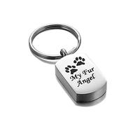 DOTUIARG Urne Keychian Acier Inoxydable Chiens Chats Os Cendre Keepsake Pet Keychain Cremation Keyring pour Animaux de Compagnie Propriétaire Mémorial
