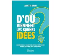 D'où Viennent Les Bonnes Idées ? - Comprendre Les Mécanismes Du Cerveau Pour Trouver Des Idées Facilement, Seul Ou À Plusieurs