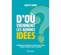 D'où Viennent Les Bonnes Idées ? - Comprendre Les Mécanismes Du Cerveau Pour Trouver Des Idées Facilement, Seul Ou À Plusieurs
