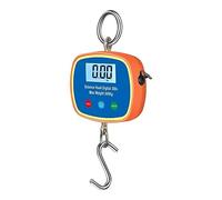 Double affichage numérique LCD échelle de grue 0.05-300kg Portable industriel électronique robuste crochet unité Conversion Artisans ou Ouvriers
