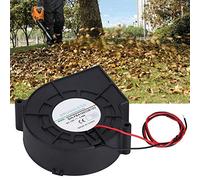 Double Ball Turbo Blower Ventilateur De Refroidissement Turbine Air Blower Ventilateur De Refroidissement pour Pique-Nique Camping ¨¦quipement De Chauffage Barbecue, DC12V