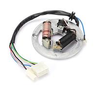 Double Bobine D'Allumage Magnéto Plaque Accessoire en Acier Inoxydable Stator Magnéto Cuivre Compatible avec PW80 Moto Vélo Pour Meilleures Performances et Fiabilité ale