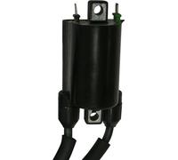 Double bobine d'allumage SGR 12V 2 Faston Résistance de 2,7 OHM
