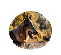 Double bonnet de bain imperméable pour la douche Summer Time Grey Pet Dog Side Face Doodle Réutilisable Mode Chapeau de douche pour les femmes Beauté, BathHair Spa, Home Hotel Travel Use