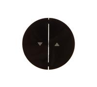 Double bouton avec symbole flèche" Berker R.1/R.3 16252045