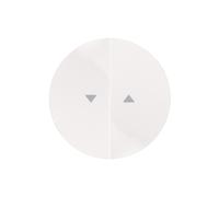 Double bouton pour connecteur de store Berker R.1/R.3 16252089