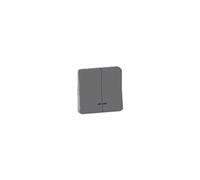 Double bouton poussoir lumineux LED IP55 IK07 - Gris anthracite - Mureva Styl