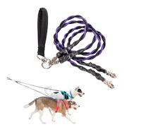 Double Bungee Leash - 1st Step Training Tool, Double Leash for Two Dogs - No Tangle, Dual Dog Leashes with Tangle-Free Swivel (D-Purple/Black)
