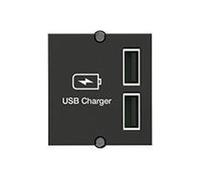 Double Charger - Insert de montage encastré - charge USB X 2