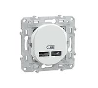 Double chargeur USB A + C 12W Schneider Ovalis Electric blanc