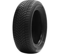 Double Coin Tyre Pneu DASP+ 195/65R15 91H 3PMSF C C 71 B
