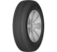 DOUBLE COIN Pneu 4 saisons 215/70 R 15 C TL 109/107R DASL-PLUS 8PR BSW M+S 3PMSF