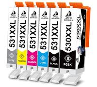 DOUBLE D Cartouches d'encre PGI-530 CLI-531 pour Canon Pixma TS8750 TS8751 | Lot de 6 cartouches d'encre compatibles avec Canon 530 531 PGI530 CLI 531 pour Canon TS8750 Cartouches d'encre pour Canon