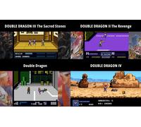Double Dragon Collection Collector's Edition Nintendo Switch