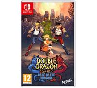 Double Dragon Gaiden Rise Of Le Dragons Nintendo Interrupteur Altri