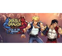 Double Dragon Gaiden Rise Of The Dragons (Nintendo Switch)