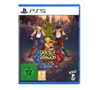 Double Dragon Gaiden: Rise of the Dragons [PS5]