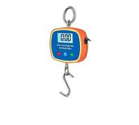 Double échelle de grue LCD 0.05-300kg à crochet poids robuste électronique industrielle avec fonction Conversion d'unité Artisans ou Ouvriers