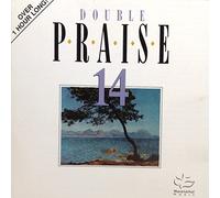 Double Instrumental Praise 14 [Import]