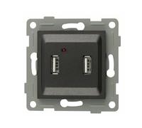 Double port USB, finition graphite, idéal pour charger des appareils mobiles et connecter des périphériques.