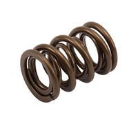 Double ressort de soupape CAT CAMS (GOLD) pour BMW