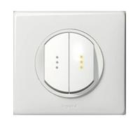 Double Va et Vient à voyant témoin Céliane Blanc