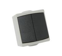 Double va et vient DEBFLEX PERLE 10 ampères étanche IP65 gris