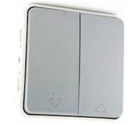 Double va et vient pour commande directe de volets-roulants Plexo IP55 - Composable saillie ou encastré - Gris Gris G