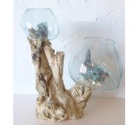 Double Vase ou Aquarium en Verre soufllé sur Racine de Bois, modèle Unique (Double Vase 15cm+20cm). Choix sur Photos ENVOYEES Suite A Votre Commande avec Les Dimensions. Vendeur Francais.