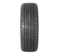 DOUBLESTAR Pneu été 225/60 R 17 TL 99H LANDRIDER DS01 BSW