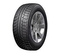 Doublestar DW07 195/70R14 91T D C 72 B