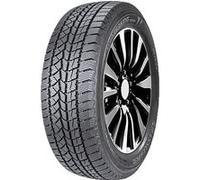 DOUBLESTAR WINTERKING DW02 245/55R19 103T BSW