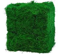 Doubleyou Geovlies & Baustoffe 2 kg (2 kg) herbe de Pâques verte | Parfait pour la décoration de Pâques | Laine de bois 100 % colorée | Idéal comme matériau de remplissage ou pour la décoration |